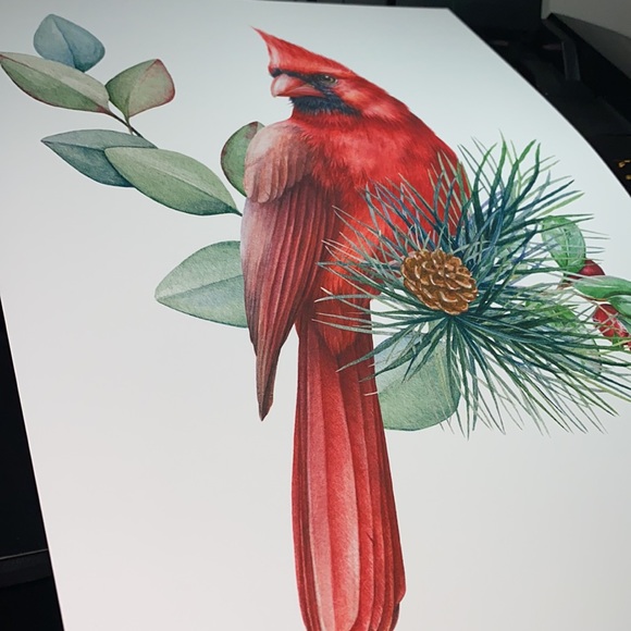 Watercolor Red Cardinal Wall Art Illustration Print Poster Unframed - Picture 10 of 14